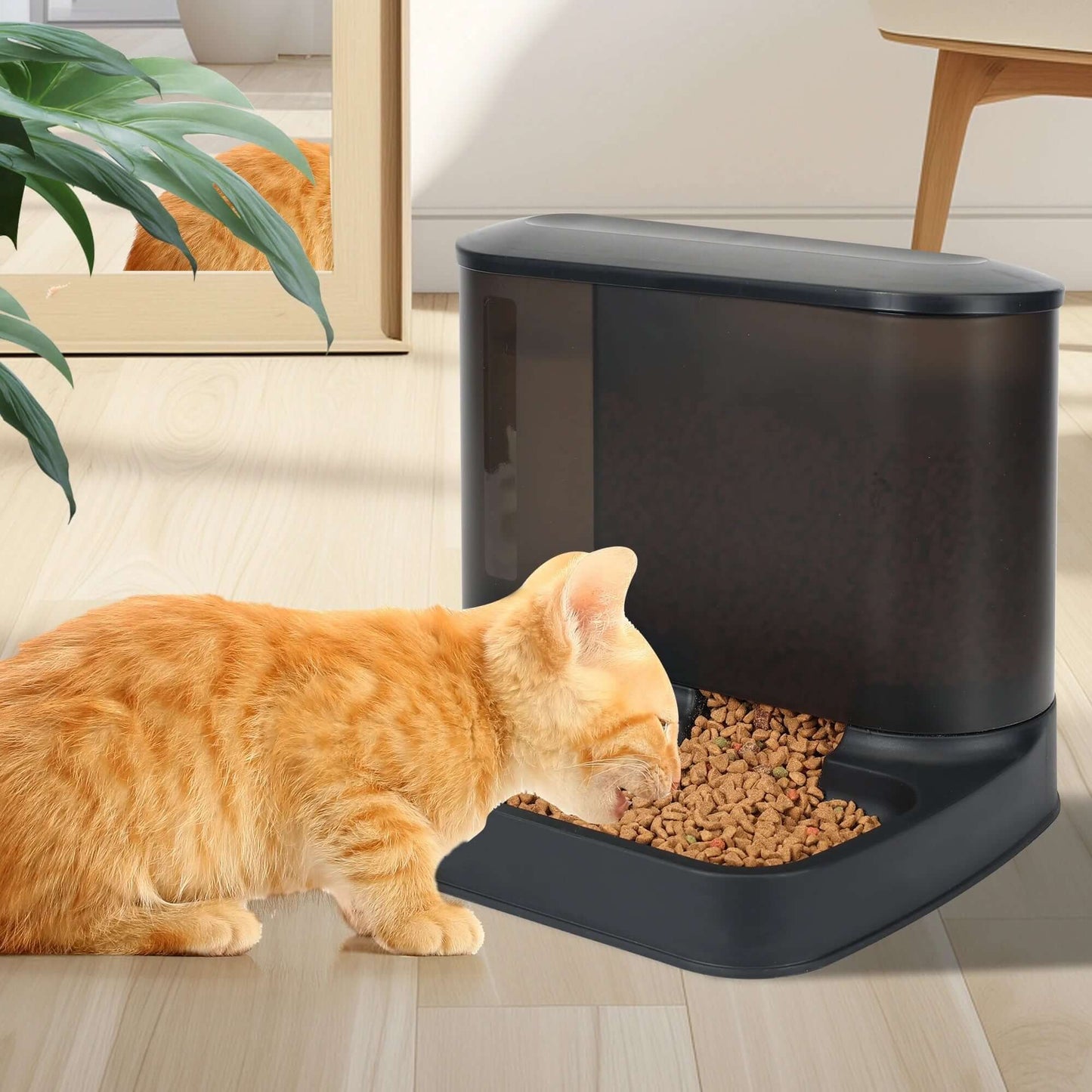 2 in 1 Automatic Cat Food Water Dispenser Pet Self Feeder Dry Food Bowl and Watering Supplies Dispenser for Indoor Small Medium Dog Puppy Kitten, Black
