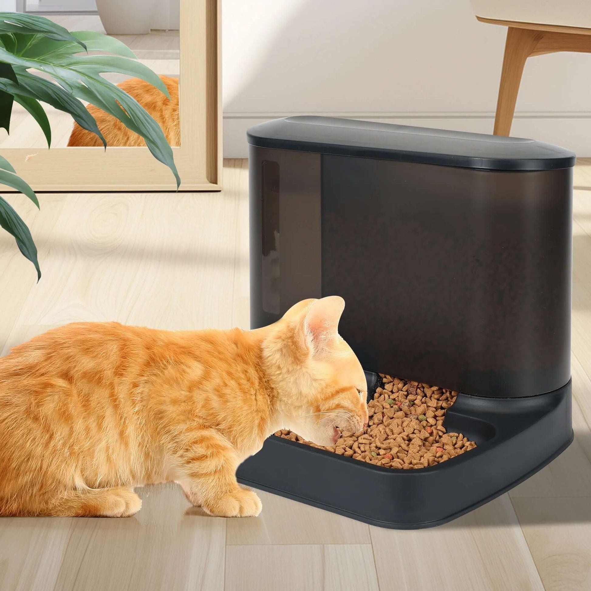 2 in 1 Automatic Cat Food Water Dispenser Pet Self Feeder Dry Food Bowl and Watering Supplies Dispenser for Indoor Small Medium Dog Puppy Kitten, Black
