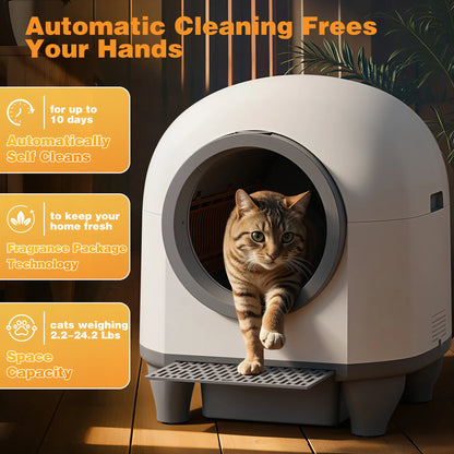 Self Cleaning Cat Litter Box with Mat,Automatic Cat Litter Box for Multiple Cats with Safety Protection and App Control,A Complimentary Garbage Bag