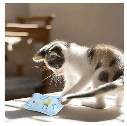 Cat playing with plush catnip toy on a sunny surface - Catnip Toys for Cats - 5 Pack Plush Chew Toys for Kittens